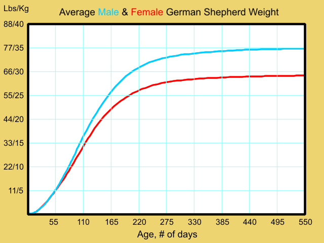 Female Boxer Growth Chart