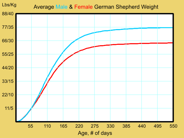 puppy growth curve